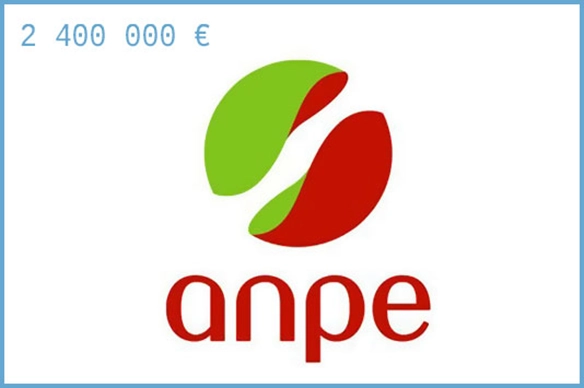 Logotype ANPE