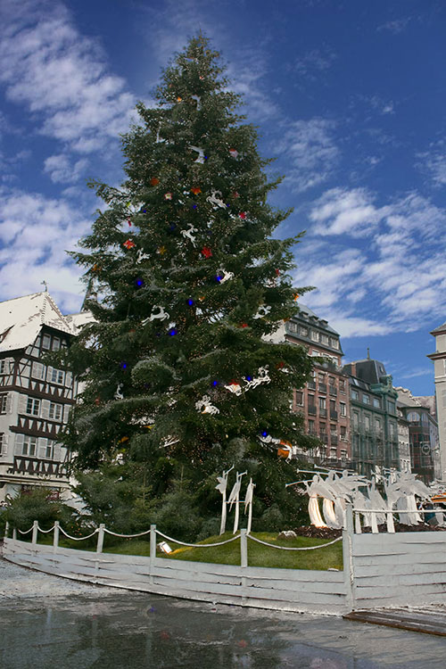 Sapin de la place Kléber de Strasbourg