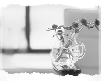 Photographie pour brochure