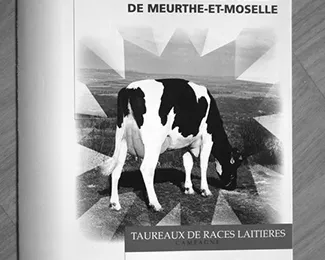 Couverture du dépliant