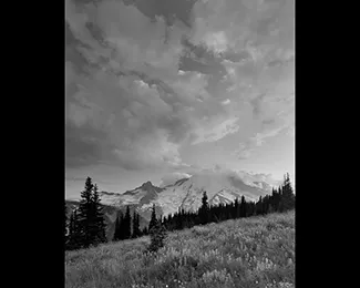 Photographie des Alpes en été
