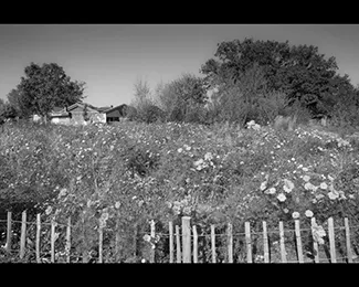 Photographie Parc Sainte-Croix